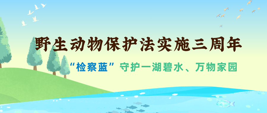 绿色卡通插画风世界野生动植物日微信公众号封面.png
